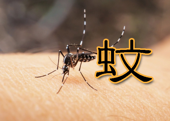 蚊に刺されたら｜かゆみ対策と腫れ跡を消す薬